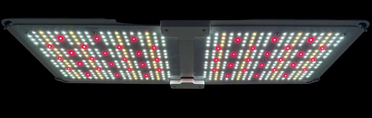 GP-200EVO LED Grow Lampe – Leuchtenansicht Produktbild
