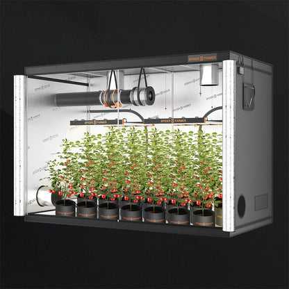 Spider Farmer Grow Zelt 240x120x200 cm