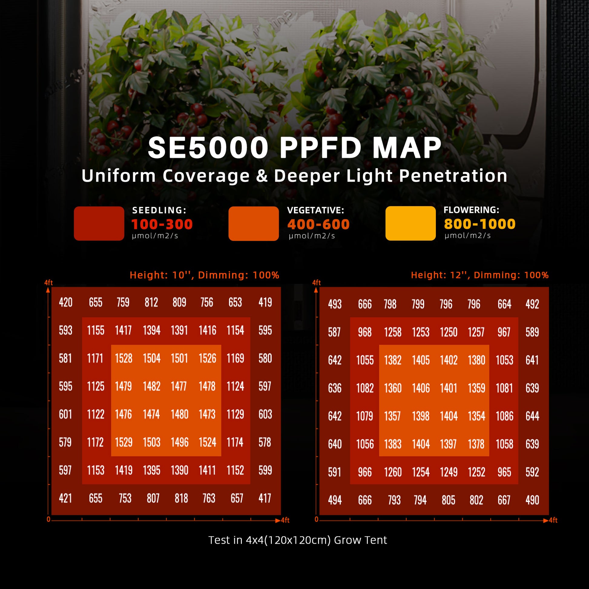 Spider Farmer SE5000 LED Grow Lampe - Bild 3
