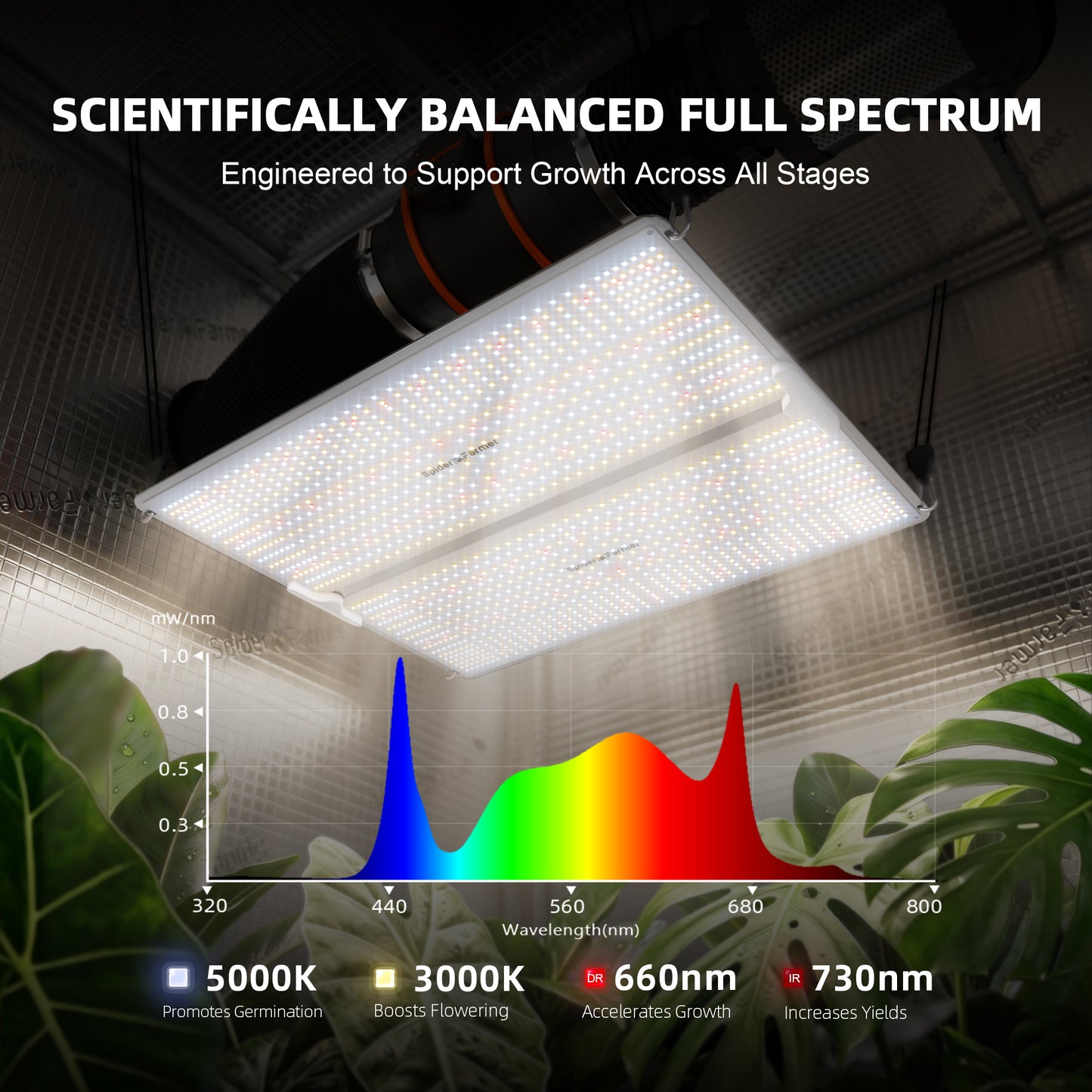 Spider Farmer SF4000 LED Grow Lampe - Bild 3 Produktbild