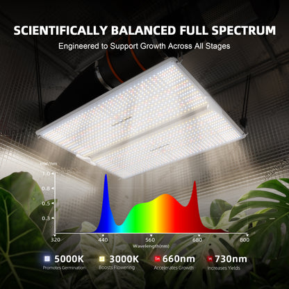 Spider Farmer SF4000 LED Grow Lampe - Bild 3
